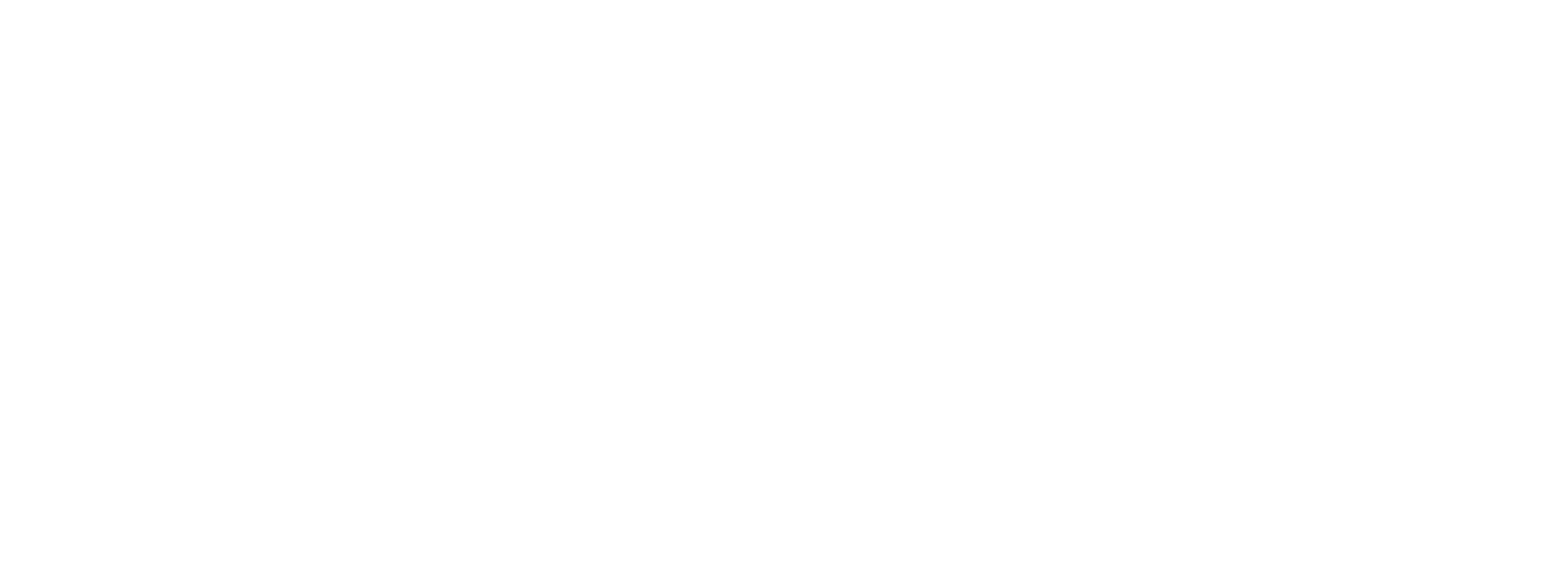 TRABİS